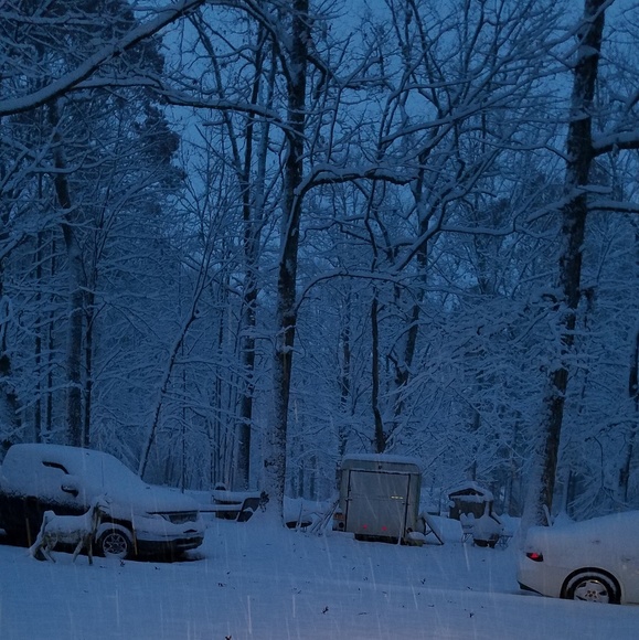 Snow - Picture 2 of 2